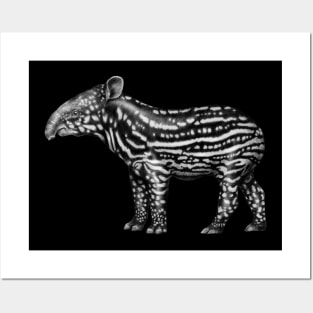 Tapir Posters and Art